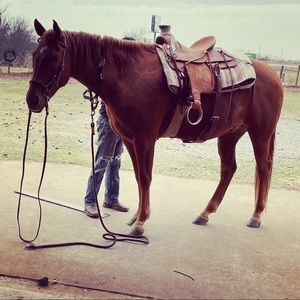 Meet your Posher, James